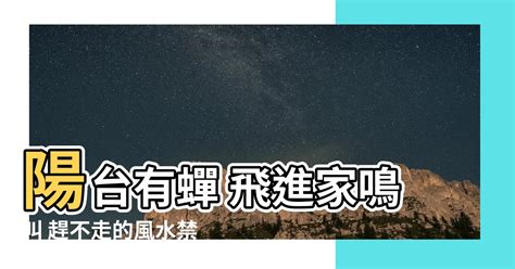 陽台有蟬|【陽台有蟬】陽台有蟬大合唱！專家教你1招趕不走…只能聽它。